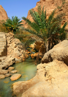Desert